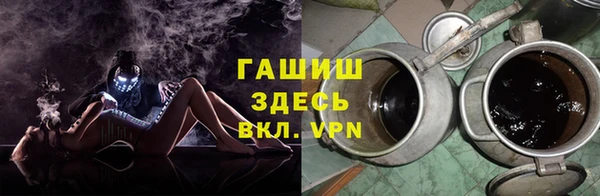 крисы Бородино