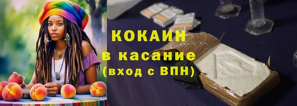 крисы Бородино