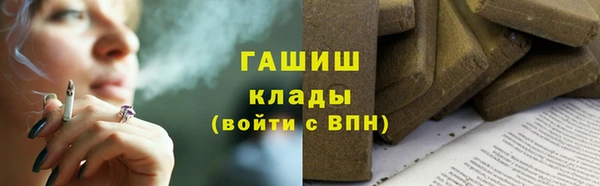крисы Бородино