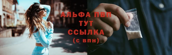 крисы Бородино