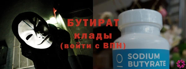 крисы Бородино