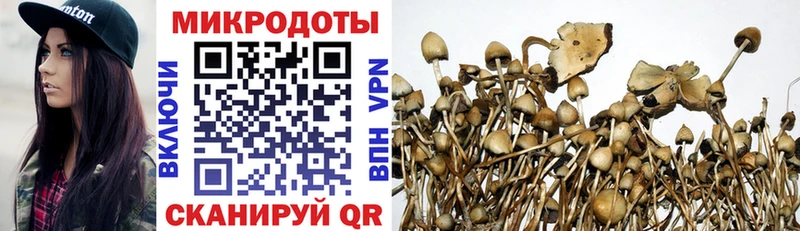 shop клад  Вичуга  Псилоцибиновые грибы Psilocybine cubensis 